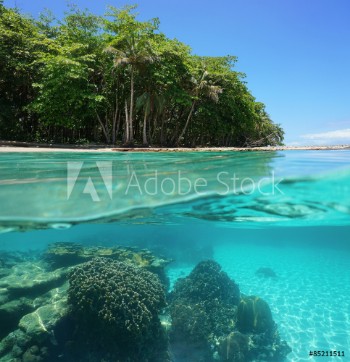 Picture of Tropical shore above and below sea surface